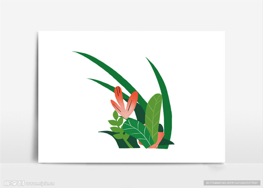 植物插画