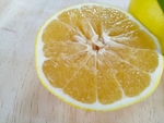 葡萄柚