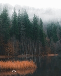 山林与湖水