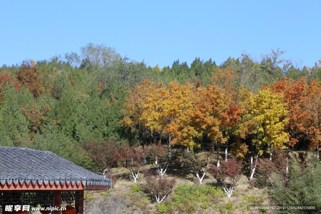 北宫风景