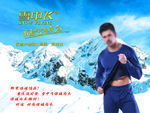 雪中飞