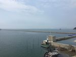 大海