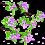 桃花春天PSD