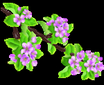 桃花春天PSD