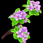 桃花春天PSD
