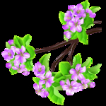 桃花春天PSD