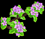 桃花春天PSD