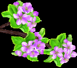 桃花春天PSD