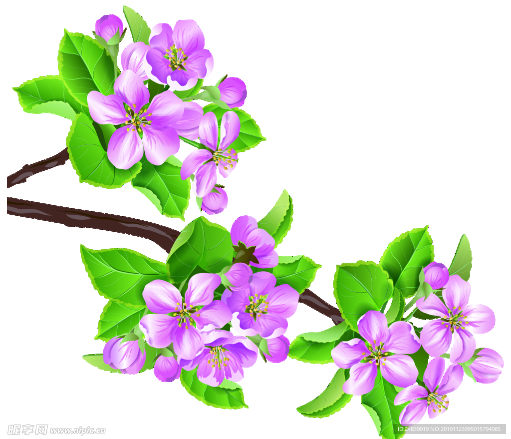 桃花春天PSD