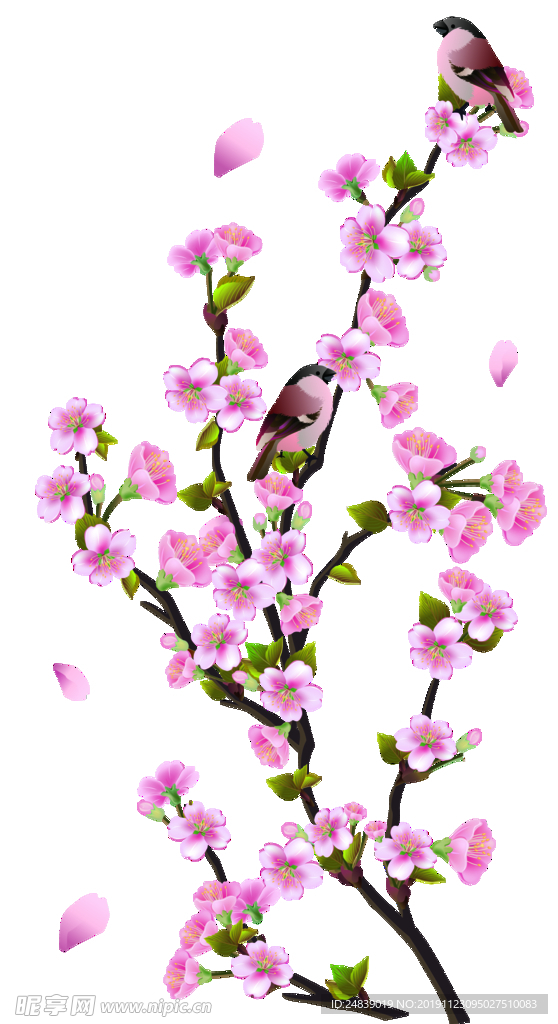 桃花春天PSD