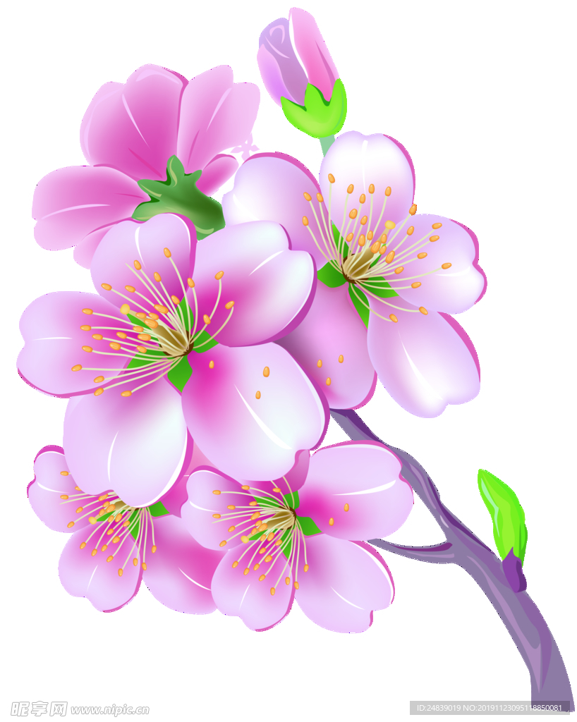 桃花春天PSD