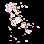 桃花春天PSD