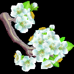 桃花春天PSD