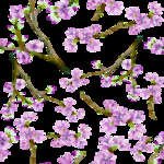 桃花春天PSD