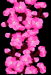 桃花春天PSD