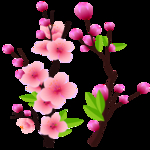 桃花春天PSD