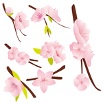 桃花春天PSD