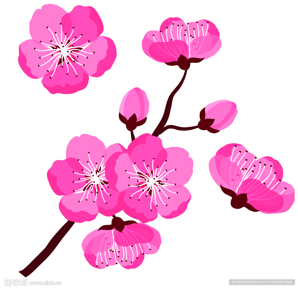 桃花春天PSD