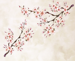 桃花春天PSD