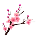 桃花春天PSD