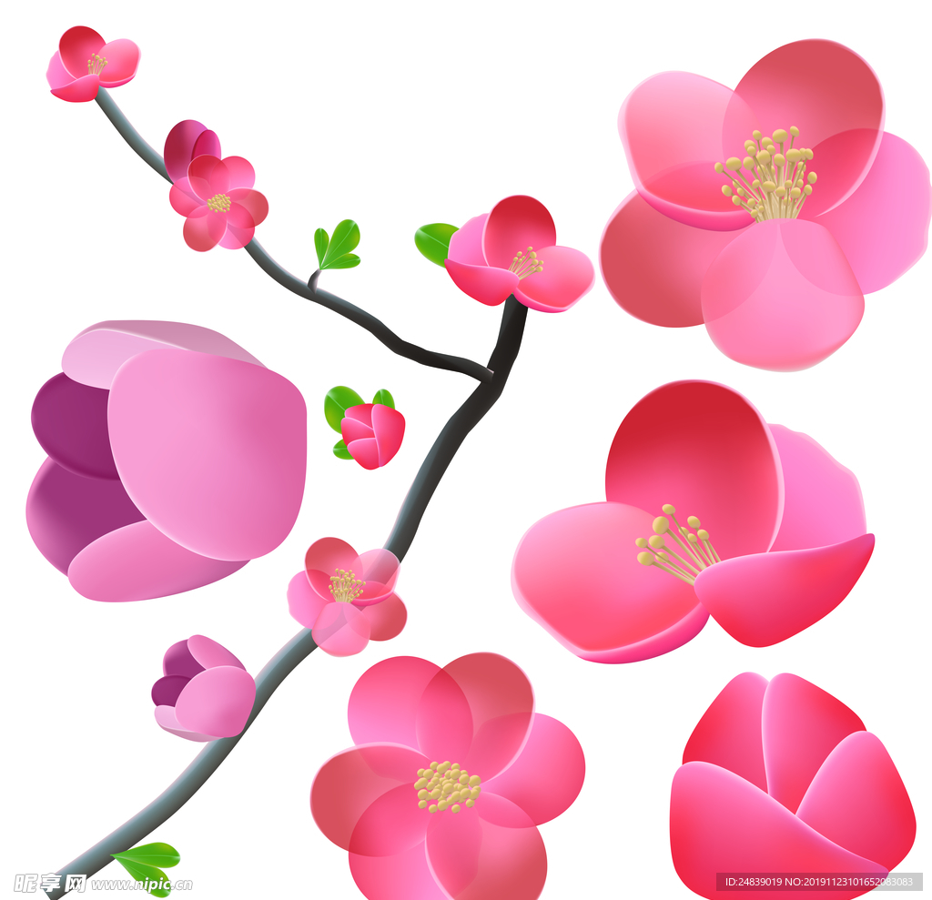 桃花春天PSD