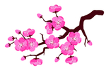 桃花春天PSD