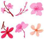 桃花春天PSD