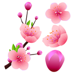 桃花春天PSD