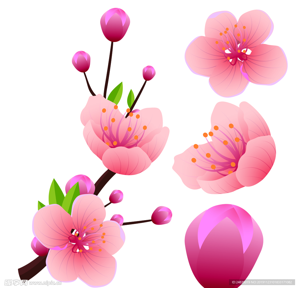 桃花春天PSD