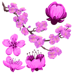 桃花春天PSD