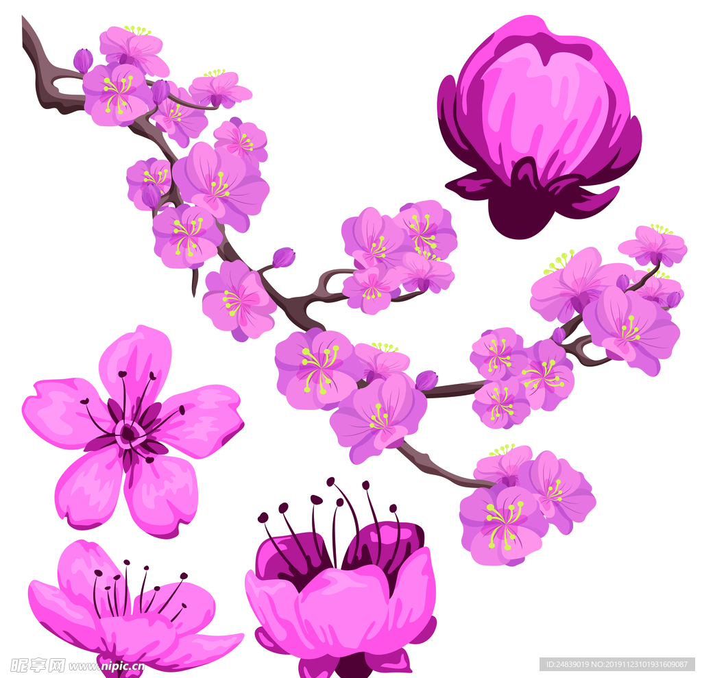 桃花春天PSD