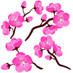 桃花春天PSD