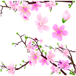 桃花春天PSD