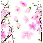 桃花春天PSD