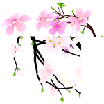 桃花春天PSD
