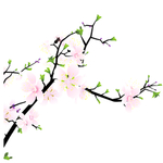 桃花春天PSD