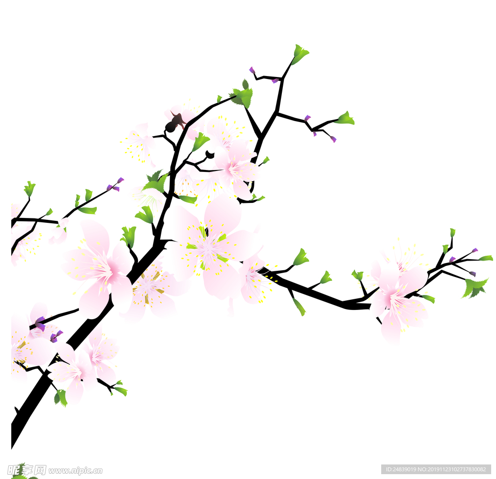 桃花春天PSD