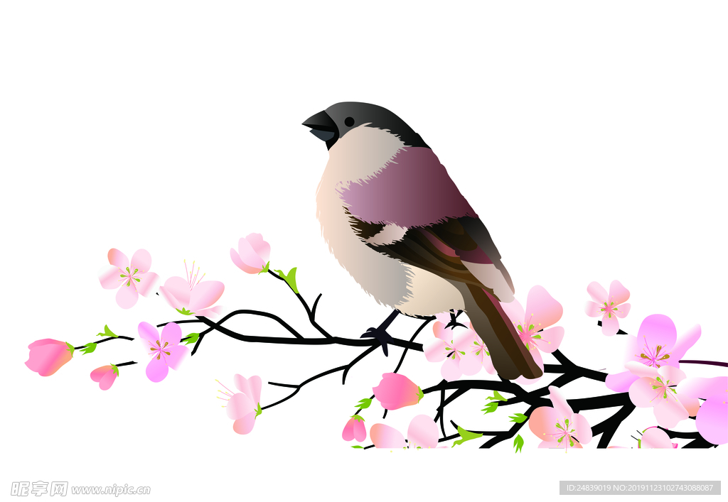 桃花春天PSD