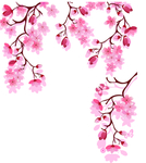 桃花春天PSD