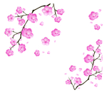桃花春天PSD