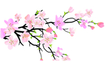 桃花春天PSD