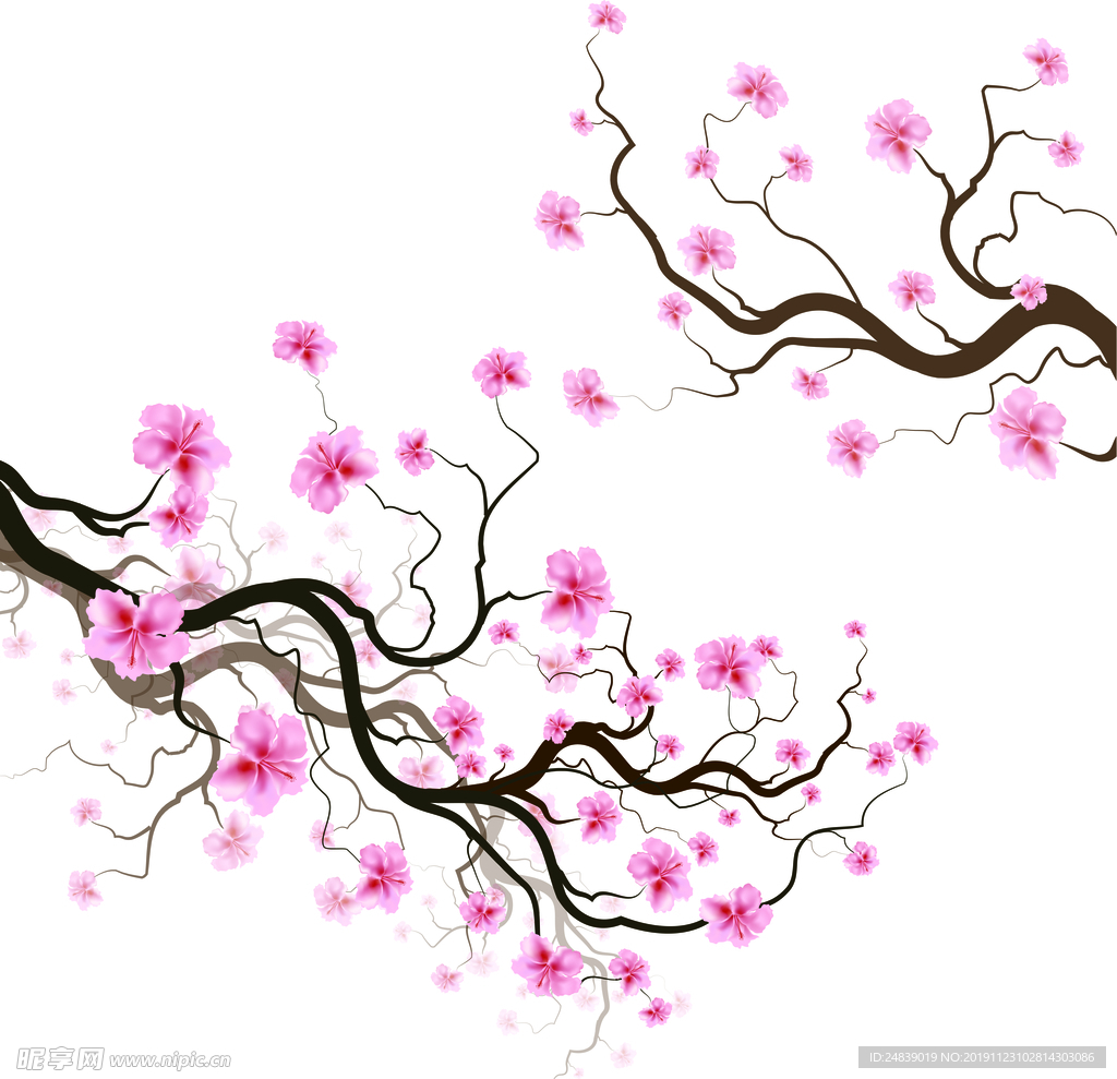 桃花春天PSD
