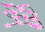 桃花春天PSD