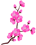 桃花春天PSD