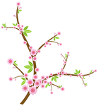 桃花春天PSD