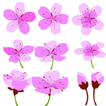 桃花春天PSD