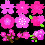 桃花春天PSD