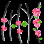桃花春天PSD