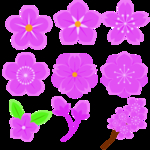 桃花春天PSD