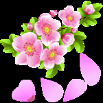 桃花春天PSD